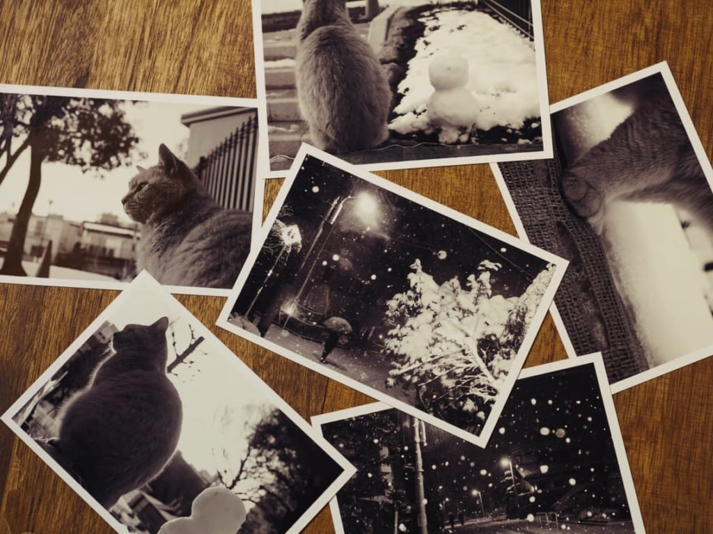 写真　イメージ