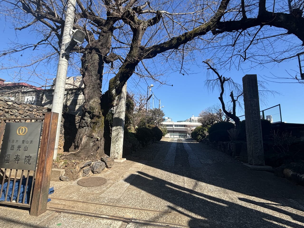 福寿院の門
